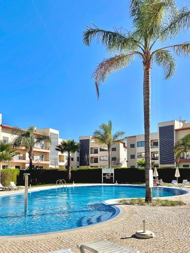 a palm tree next to a large swimming pool at Apartamento moderno perto da marina e da praia in Lagos