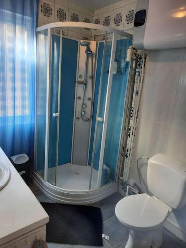 une salle de bain avec douche et toilettes dans l'établissement LE CHANT DE LA RIVIERE, à Sainte-Marie-aux-Mines