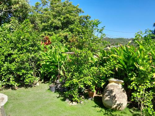 Un jardín con un montón de plantas y árboles. en L'îlet cacao, en Le Gosier