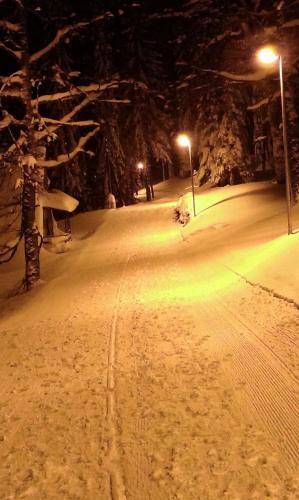 a snow covered road at night with street lights at Apartmani Marija in Jahorina