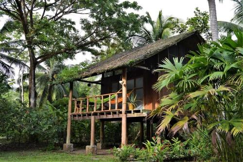 Zahrada ubytování Jardín Botánico del Pacífico y Mecana Ecohotel