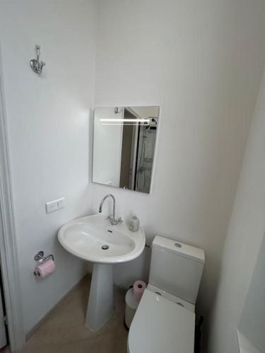 une salle de bain blanche avec un lavabo et des toilettes dans l'établissement LemonTree Terrace village centre, à Cotignac