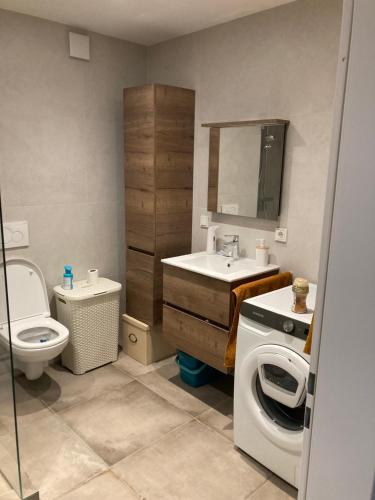 ein Bad mit einem WC, einem Waschbecken und einem Spiegel in der Unterkunft Nice Cozy Appartment Remich in Remich