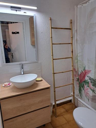 une salle de bain avec un lavabo et un miroir dans l'établissement Studio 4 personnes avec piscine au CAP D AGDE au pied du port et 5 mn à pied de la plage du Môle, au Cap d'Agde