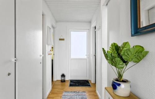 a hallway with a plant in a vase next to a door at Stunning Home In Tranekær in Tranekær