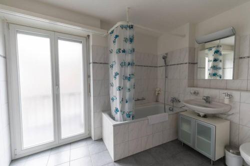 Nice and big 1 bedroom flat city center/near lake (Dahlia8)