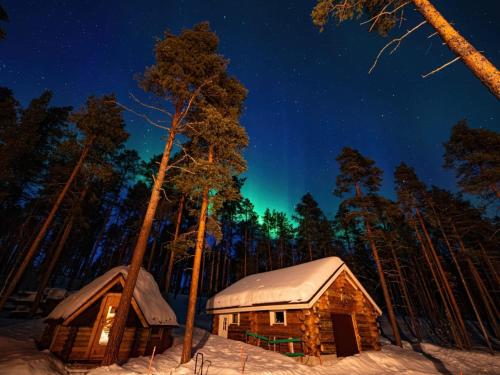 LemmenjokiにあるHoliday Home Peurankuoppa by Interhomeの夜の森の中のオーロラを灯した小屋