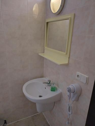 a bathroom with a sink and a mirror at Beta Pension in Prague