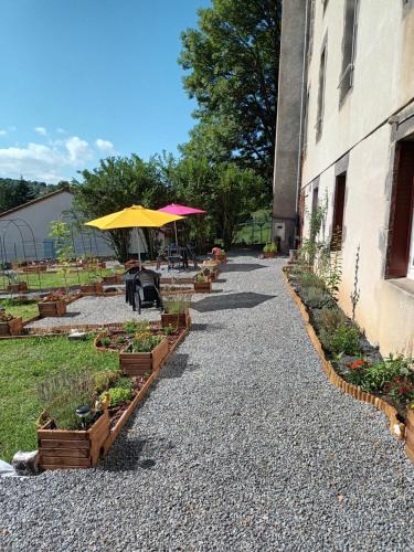 un patio avec des plantes et un parasol à côté d'un bâtiment dans l'établissement superbe appartement T2 proche de vulcania, à Pontaumur