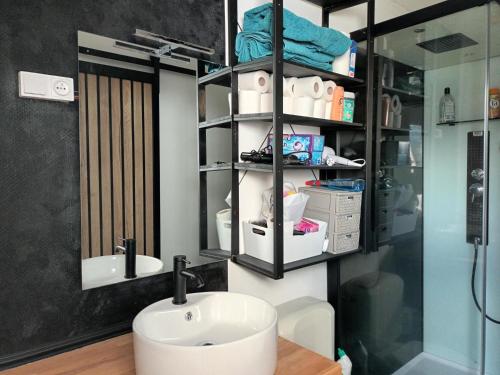 een badkamer met een wastafel en een douche bij superbe appartement T2 proche de vulcania in Pontaumur