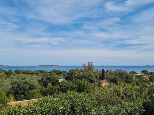 a view of the ocean from a hill with trees at Holiday Home La Girelle by Interhome in Porto-Vecchio