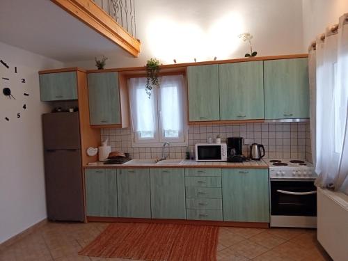 La cuisine est équipée de placards verts, d'un évier et d'un réfrigérateur. dans l'établissement ΘΈΑ, à Rogón