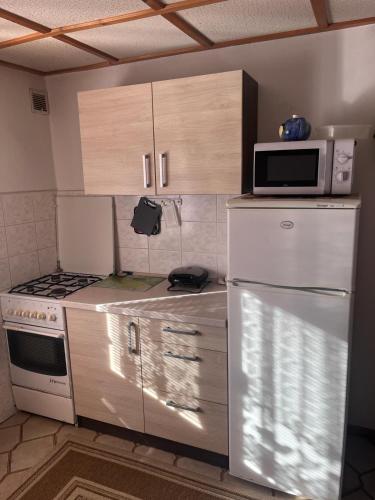 a kitchen with a white refrigerator and a microwave at Penzión Janka in Zuberec