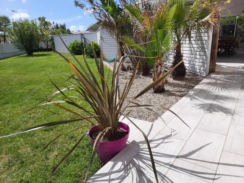 a potted plant sitting on the side of a yard at Chambre d'hôtes La Perla du Teich, piscine chauffée in Le Teich