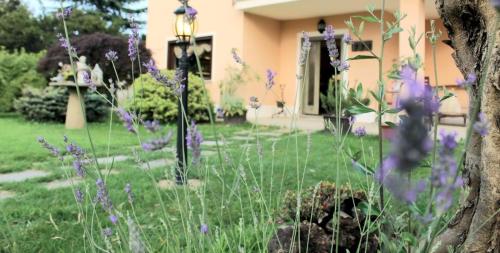 Ein Garten an der Unterkunft Un sorriso sul Viso