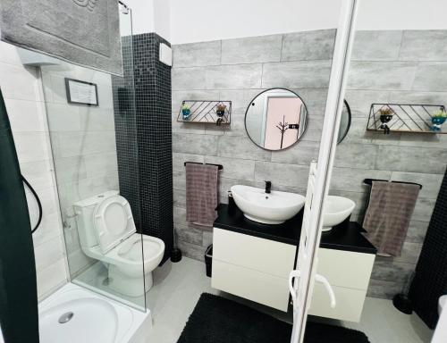 a bathroom with a toilet and a sink and a mirror at Sara room in Curtea de Argeş