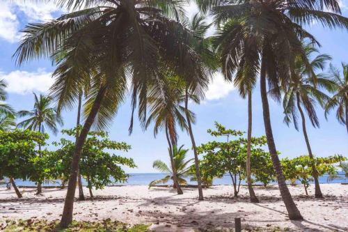 a group of palm trees on a sandy beach at Golden Beachfront Apartment Diani in Ukunda