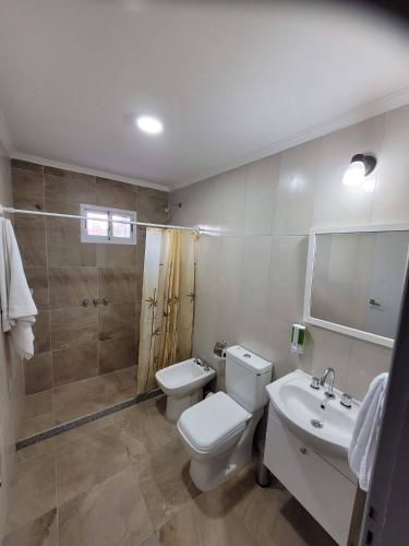 a bathroom with a toilet and a sink and a shower at Punto Mar in Balneario Claromecó