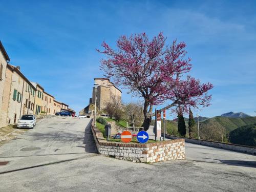 an empty street with a tree with pink flowers at Casa vacanze Castello in Frontone