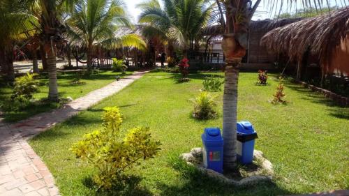 a palm tree in a yard with two trash cans at Punta Pacífico Bungalows Máncora in Máncora