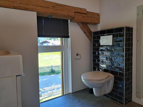 a bathroom with a toilet and a window at Neu! Ferienwohnungen im Lüftlmalereck, Hennalahaus in Oberammergau