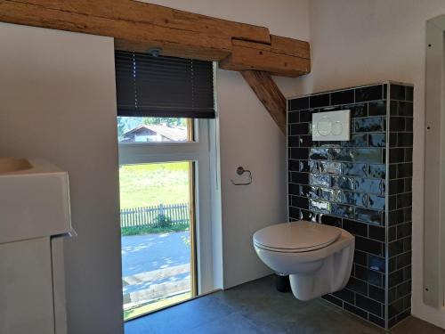 ein Bad mit einem WC und einem Fenster in der Unterkunft Neu! Ferienwohnungen im Lüftlmalereck, Hennalahaus in Oberammergau