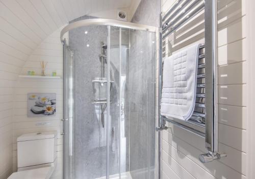 a bathroom with a shower with a glass door at Paradwys in Llanfyllin