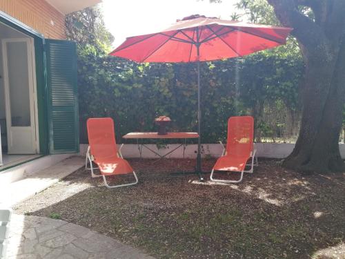 Zahrada ubytování Vacanze degli Sposi
