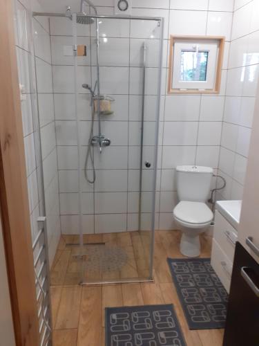 Grodziczno的住宿－Domek pod sosnami，带淋浴和卫生间的浴室