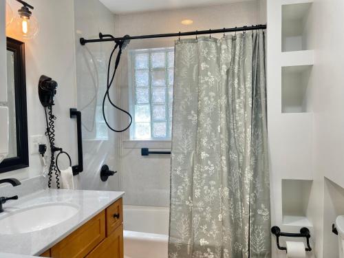 a bathroom with a shower curtain and a sink at Algonquin Mountain Chalet in Wilmington