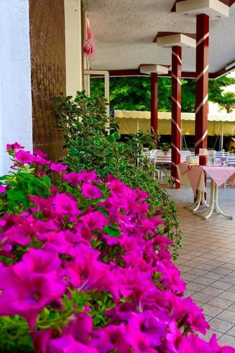 a bunch of pink flowers on a patio at Hotel Alessi** Rimini in Rimini