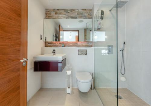 ein Bad mit einem WC, einem Waschbecken und einer Dusche in der Unterkunft Ty Traeth in Tenby