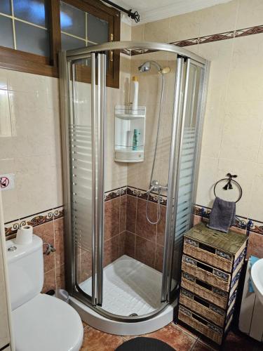 een badkamer met een douche en een toilet bij Apto-en el Bajo de la casa-estilo rústico en Dílar in Dílar