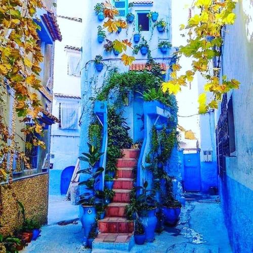 a blue building with a staircase with potted plants at Casa Plasa Grande CHAOUEN in Chefchaouene