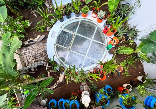 a miniature garden with a circular window and plants at Casa de Poço Guest House and Gallery in Mindelo