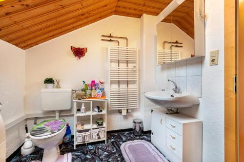 a bathroom with a toilet and a sink at Ferienwohnung Plötz in Bad Koetzting