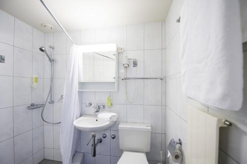 a bathroom with a toilet and a sink and a shower at Hotel Sternen in Räterschen