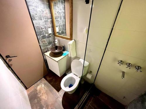 Un baño pequeño con inodoro y lavabo. en Casa guerrero, con piscina en chacras, en Ciudad Lujan de Cuyo