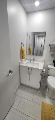a bathroom with a sink and a toilet and a mirror at Cozy One bedroom BSMT Apartment in Edmonton