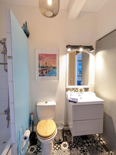 Appartement de charme sous les toits avec vue sur la Garonne