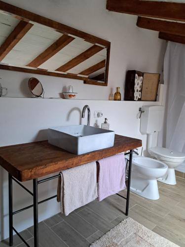 a bathroom with a sink and a toilet at Torre Colombaia in Salsomaggiore Terme