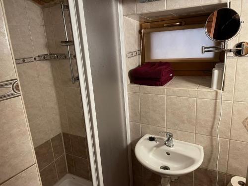 La petite salle de bains est pourvue d'un lavabo et d'une douche. dans l'établissement Apartmány Chalupinka, à Železná Ruda