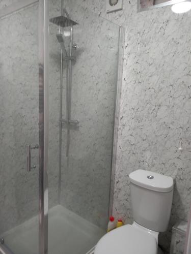 a bathroom with a shower and a white toilet at JosteeStay Apartments -Rooms in Goodmayes