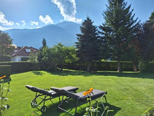 - deux chaises assises sur une pelouse dans l'établissement Appartements Haus Olympia, à Innsbruck