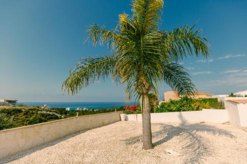 a palm tree in the sand next to a wall at Amazing Villa with panoramic sea view in Paphos
