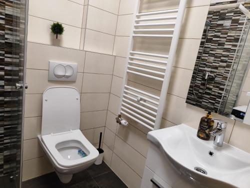 ein Bad mit einem WC und einem Waschbecken in der Unterkunft Apartmani Sanja in Teslić
