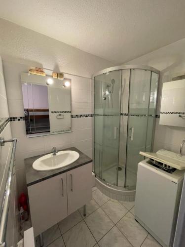 une salle de bain avec un lavabo et une douche en verre dans l'établissement Studio La Case de l’Écureuil, à Barcelonnette