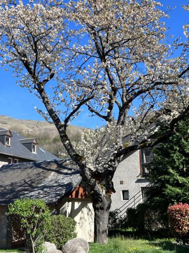 a flowering tree in front of a house at Résidence Cami Réal **** in Saint-Lary-Soulan