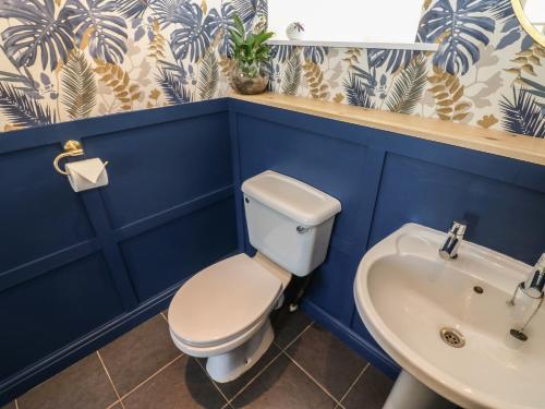 a blue bathroom with a toilet and a sink at The Dairy in Bishop Auckland
