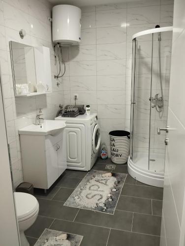 a bathroom with a shower and a sink and a washing machine at Stan na dan Bijeljina Niki 2 in Bijeljina